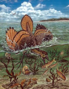 Diving Archaeopteryx