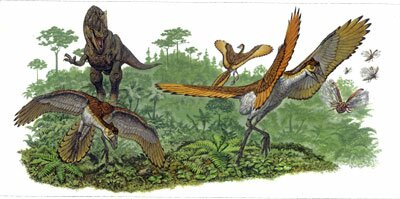Archaeopteryx Hunting